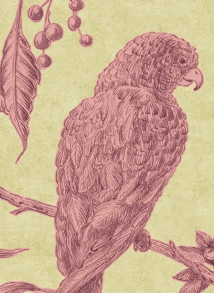 Lewis & Wood Carta da parati Squawk - Cantaloupe