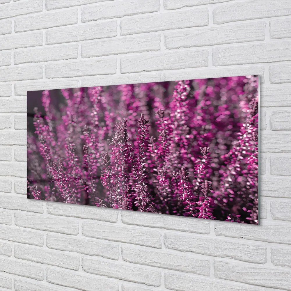 Quadro su vetro Campo di heather 100x50 cm 2 appendini