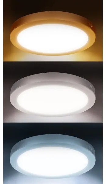 Solight WD244-S - Pannello LED 2 in 1 24W/230V 3000/4000/6000K diam. 30 cm IP54 argento