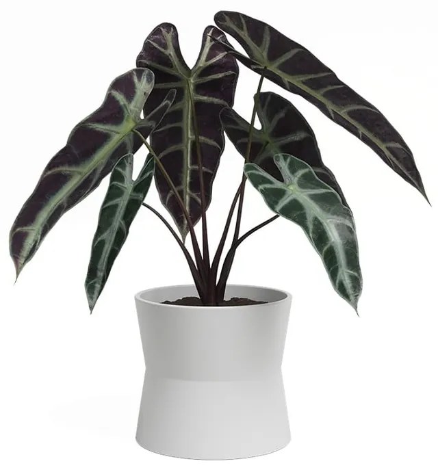 Vaso in ceramica ø 20 cm Diana - Artevasi