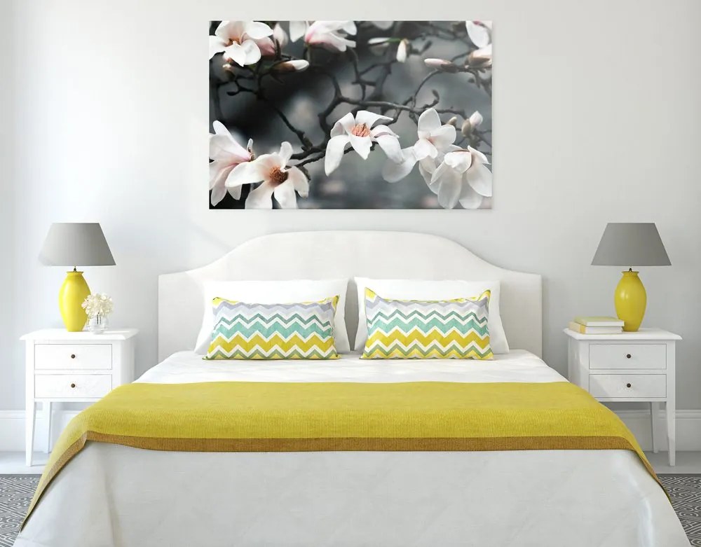 Quadro su tela – Magnolia che si risveglia