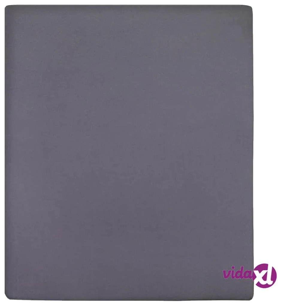 vidaXL Lenzuola con Angoli Jersey 2 pz Antracite 180x200 cm Cotone