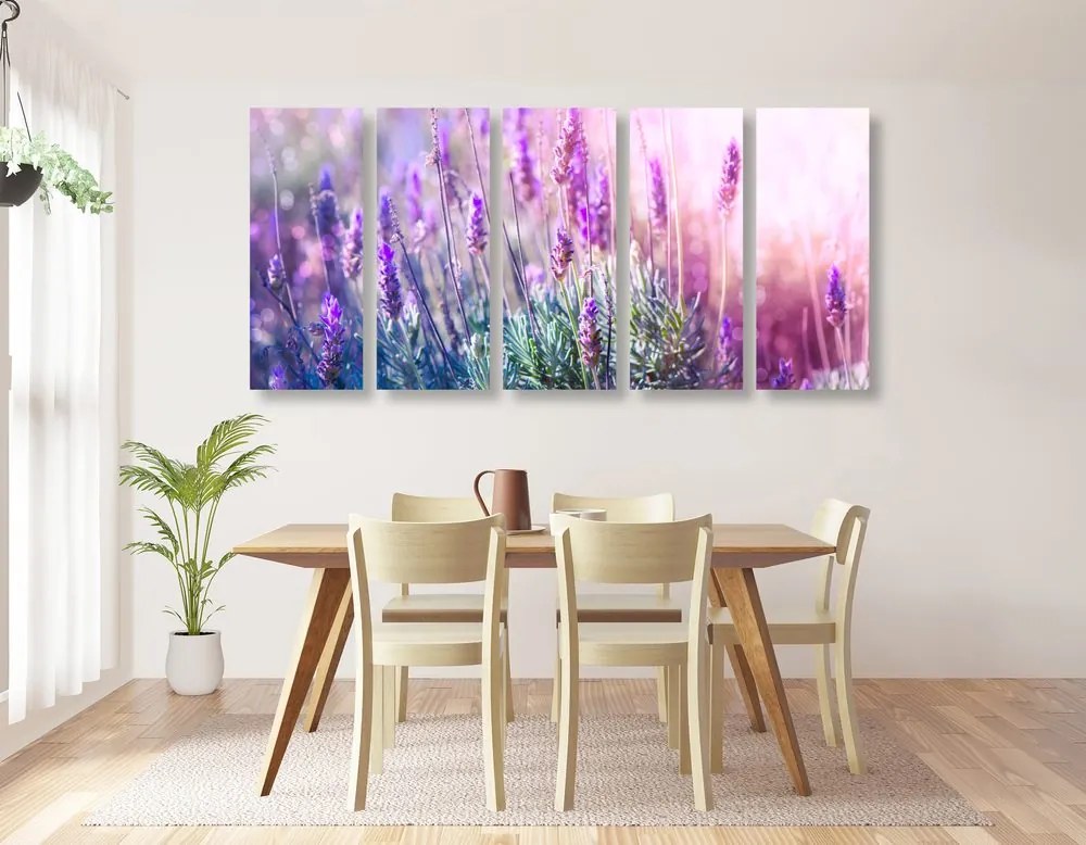 Quadri 5 pezzi – Fiori di lavanda magici