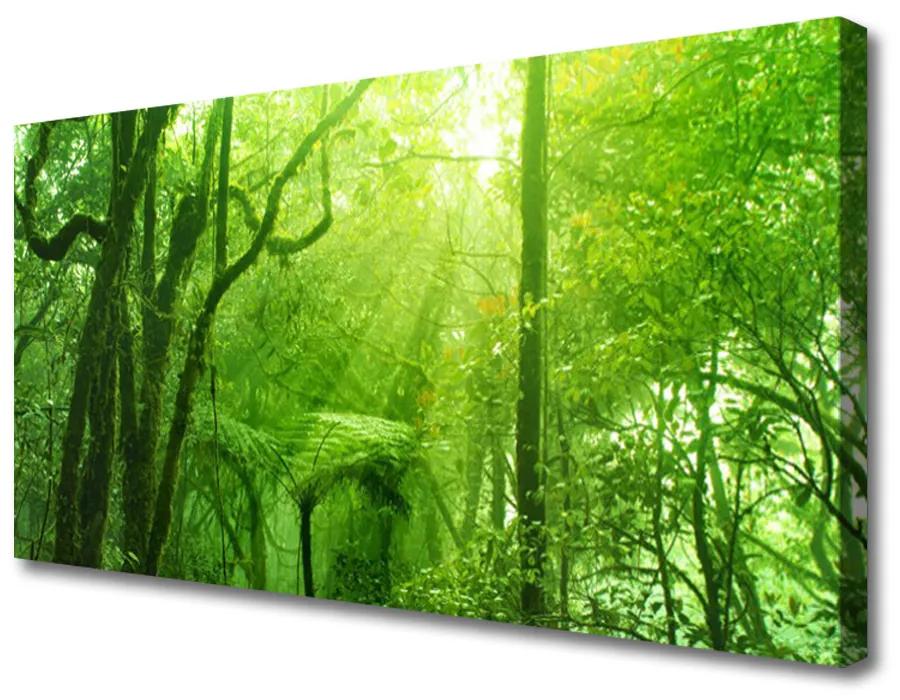 Quadro su tela Alberi della natura 100x50 cm