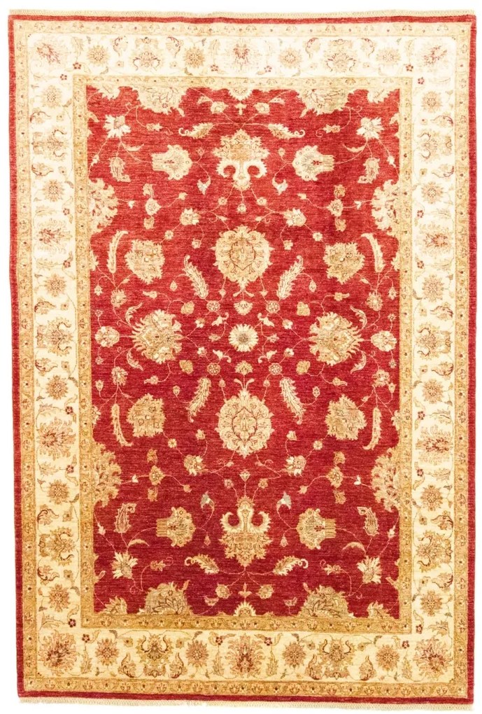 Ziegler Tappeto 210 x 310 (Afghanistan)