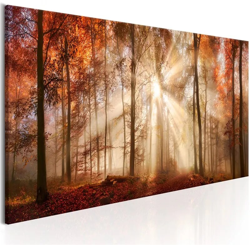 Quadro Autumnal Dawn  Colore Marrone, Dimensioni e Misure 120x40