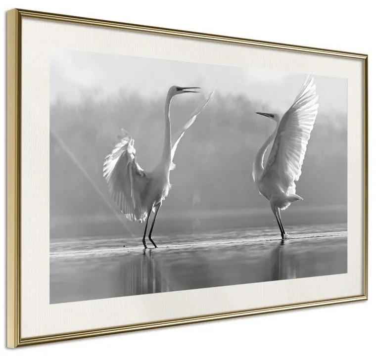 Poster Black and White Herons