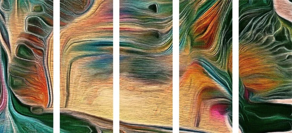 Quadri 5 pezzi – Astrazione psichedelica