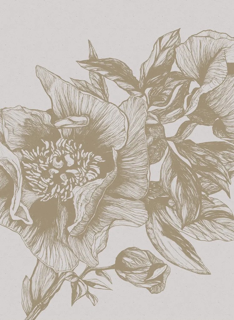 Coordonne Carta da parati panoramica Giant Peonies - Papirus