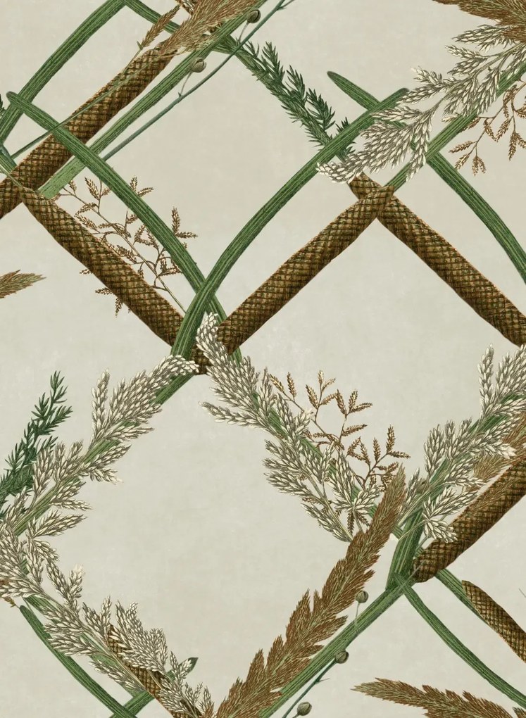Mindthegap Carta da parati Ornamental Reed - WP30161