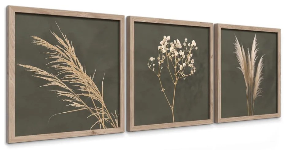 Set di dipinti 3 pz 30x30 cm Pampas – Styler