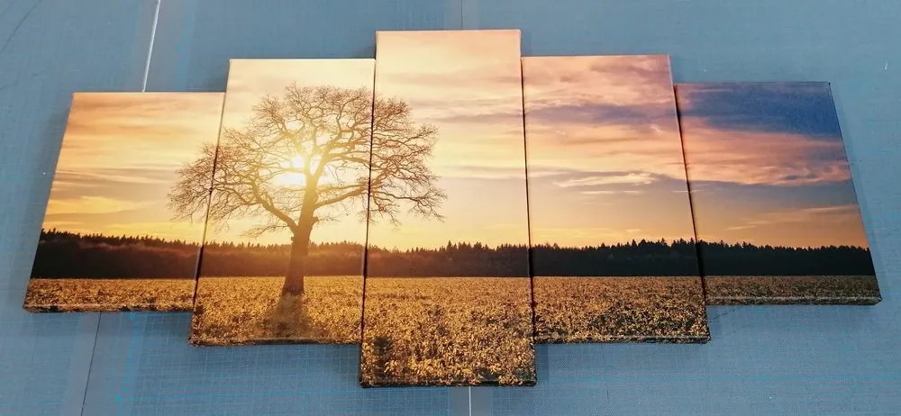 Quadri 5 pezzi – Albero solitario