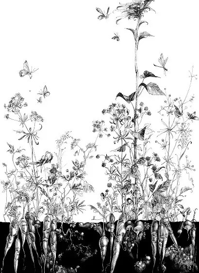 Edmond Petit Carta da parati Lièvres/Fenouil/Tournesol - Blanc et Noi - Tournesol Droit - Blanc et Noir