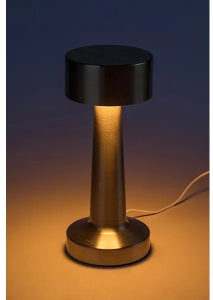 Rabalux 74207-LED Lampada da tavolo ricaricabile SENAN LED 2,7W/5V 1200mAh oro