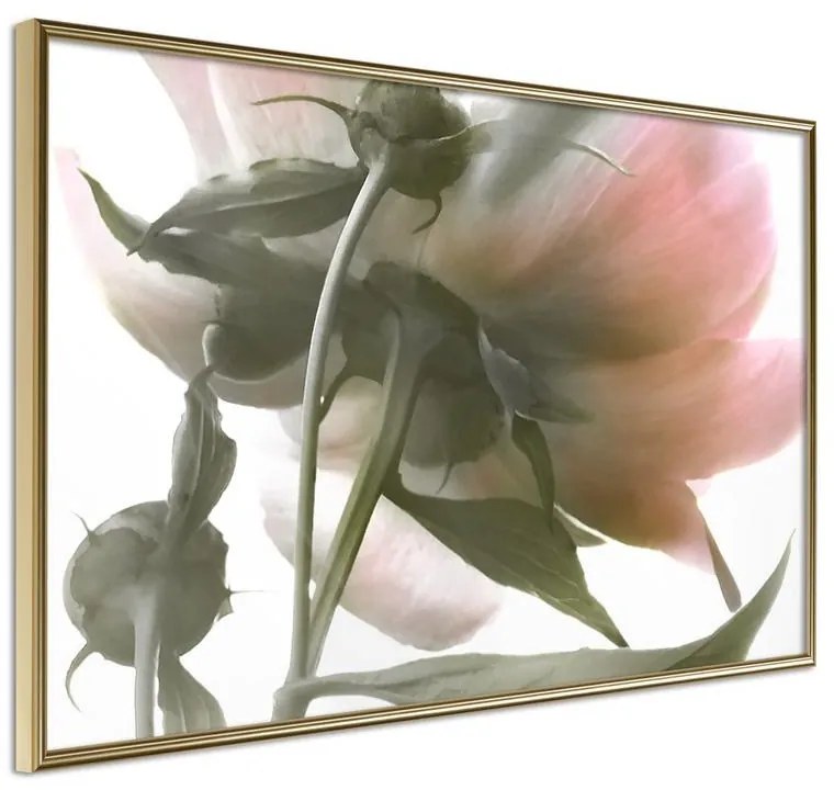 Poster  Under the Flower  Cornice Quadri Cornice d'oro, Larghezza x Altezza Home decor 60x40