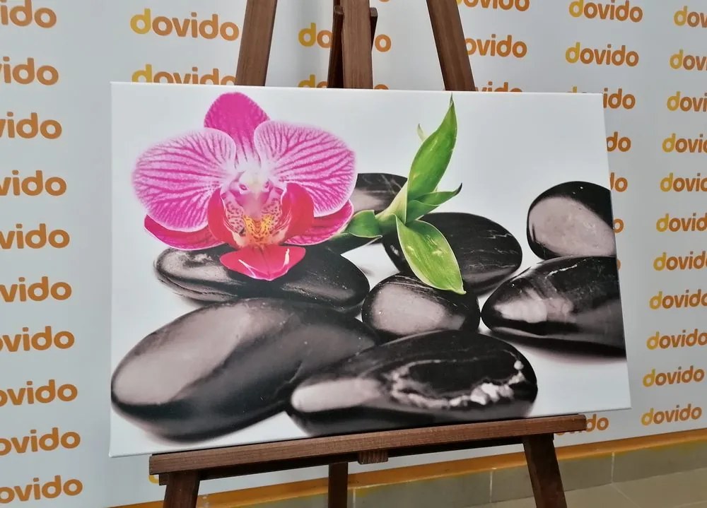 Quadro su tela – Pietre per il benessere massaggio