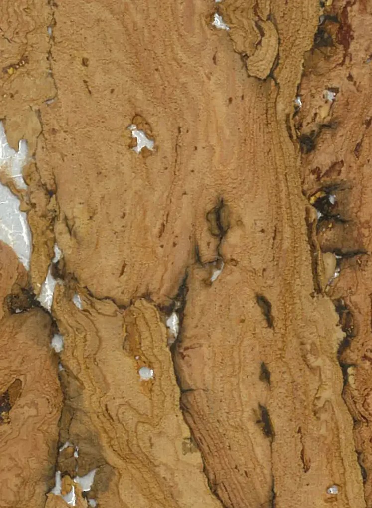 Osborne & Little Tapete Kanoko Cork - Woodash