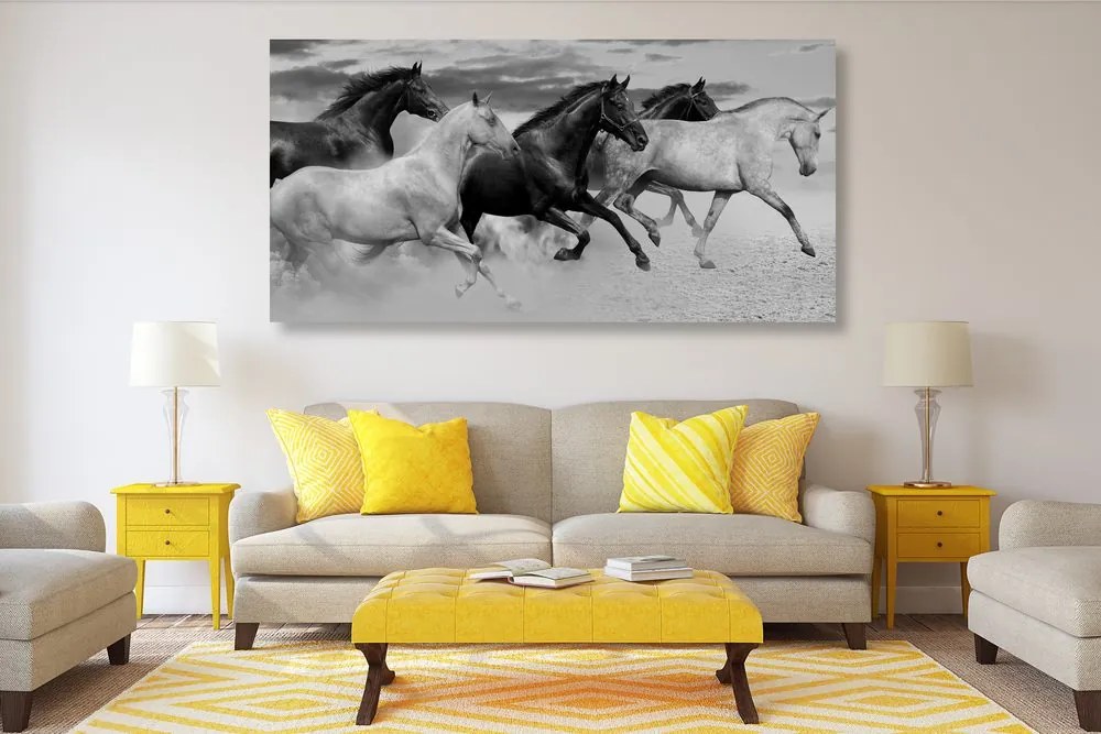 Quadro su tela – Branco di cavalli in bianco e nero