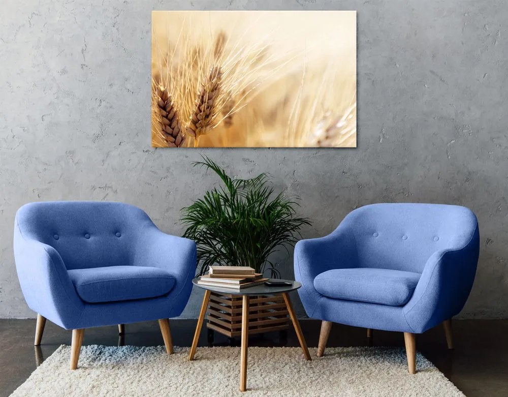 Quadro su tela – Campo di grano