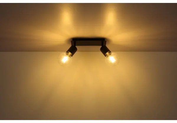 Globo 54030-2 - Luce Spot HERMINE 2xE27/60W/230V