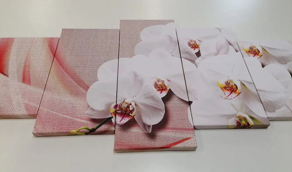 Quadri 5 pezzi – Orchidea bianca su tela