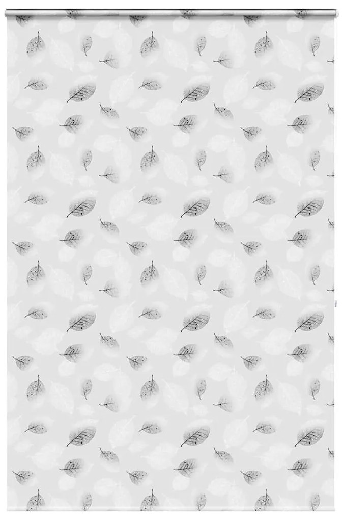 Tenda A Rullo Doccia Cassonetto 160x240 Cm Larghezza Tessuto /