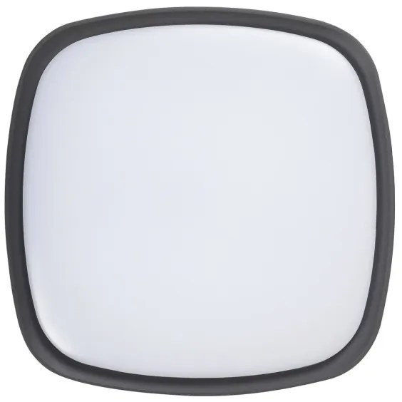 Rabalux 8797 - LED Plafoniera da esterno AUSTIN LED/20W/230V IP65