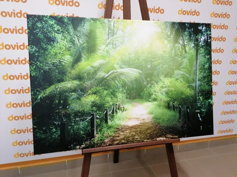 Stampa su tela – Sentiero sull'isola di Seychelles