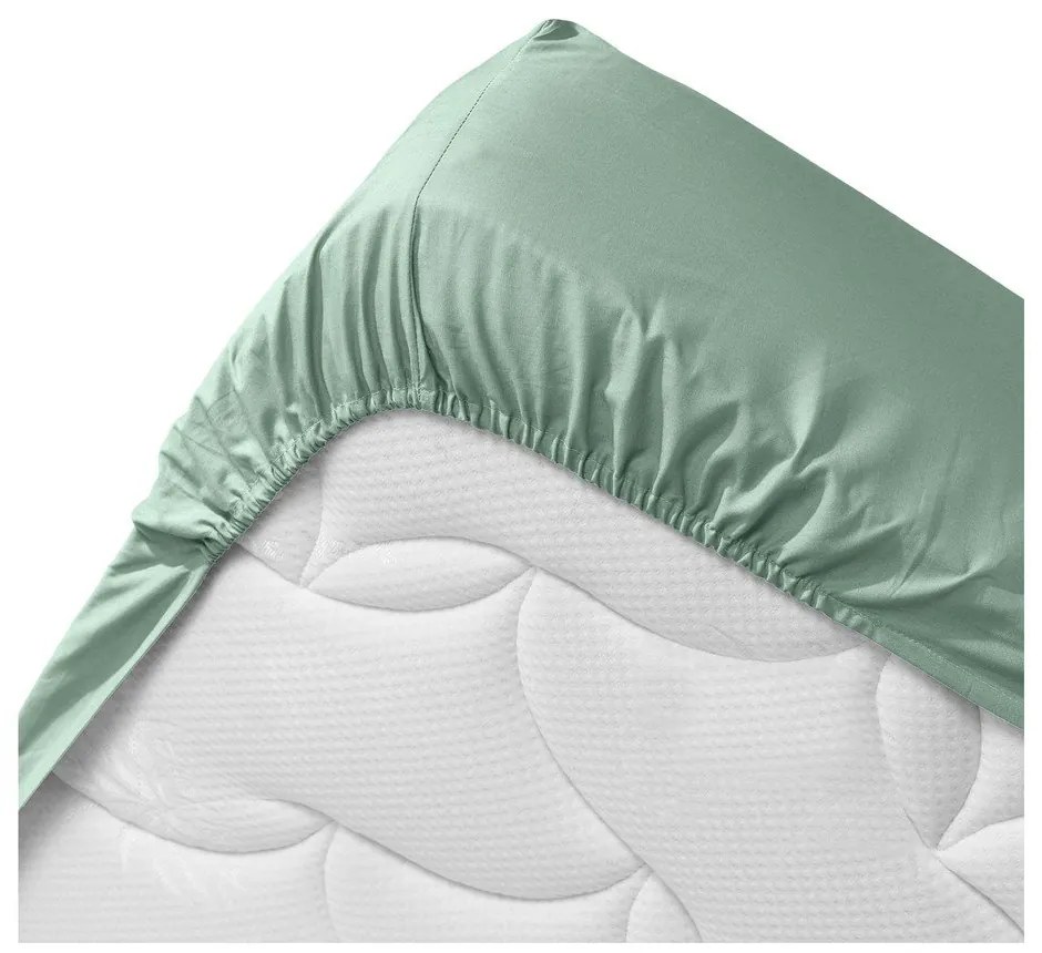 Lenzuolo elasticizzato verde chiaro in cotone biologico 140x190 cm Biolina - douceur d'intérieur