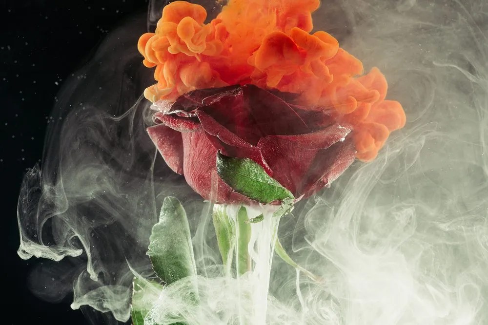 Stampa su tela – Rose con elementi astratti