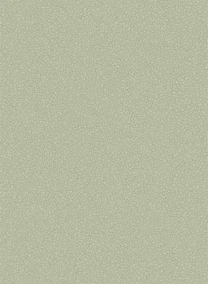 Cole & Son Carta da parati Pebble - Sage