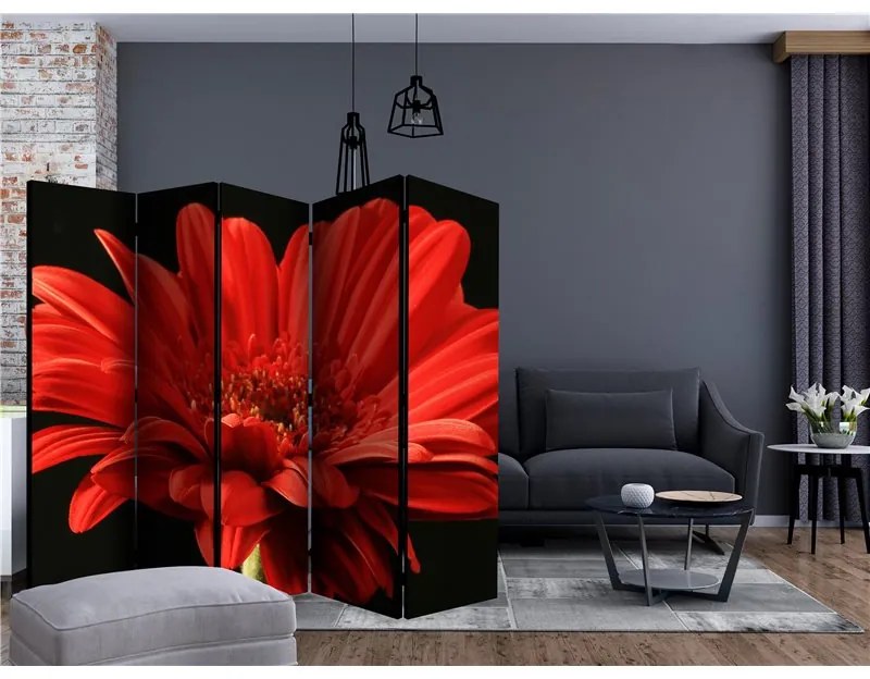 Paravento  Red gerbera flower II [Room Dividers]  Colore ---, Dimensioni e Misure 225x172