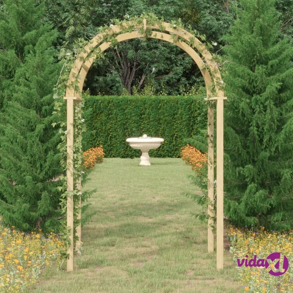 vidaXL Arco da Giardino 141x97x243 cm in Legno di Pino Impregnato