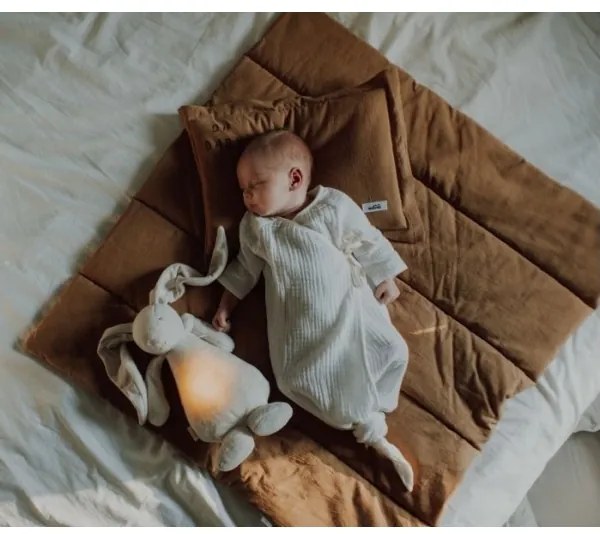 Moonie - Amico di coccole con una melodia e luce coniglietto argento