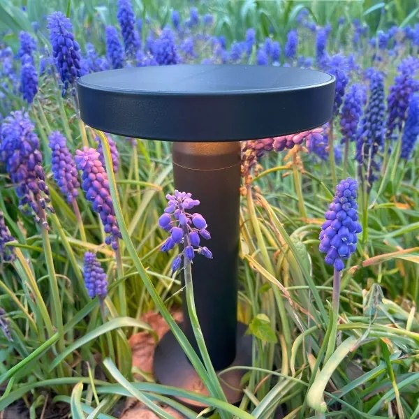 Zuma Line DT33611 - Lampada solare LED CARLI LED/2W/2000 mAh IP44 nero