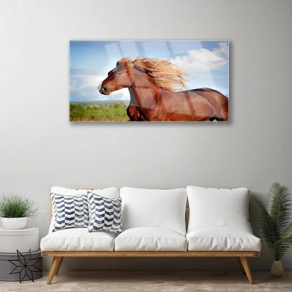 Quadro acrilico Animali da cavallo 100x50 cm
