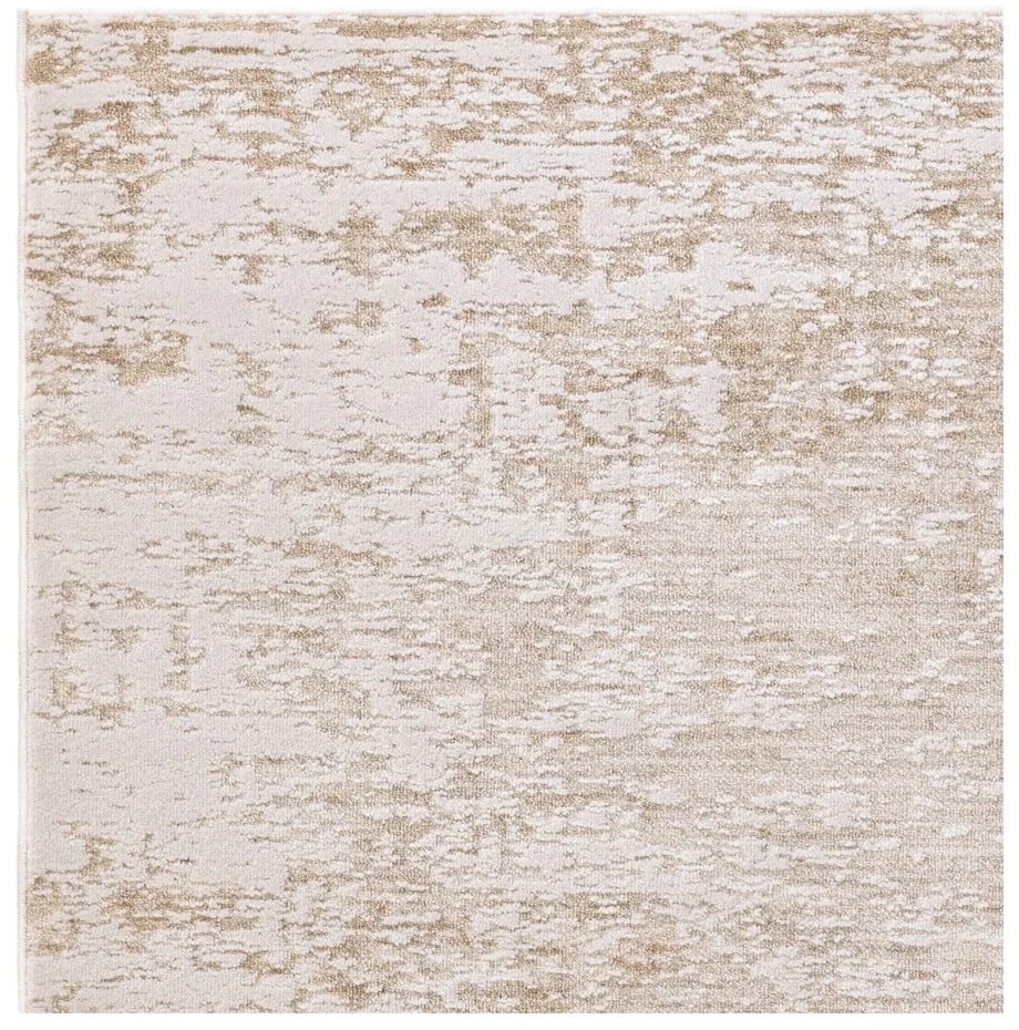 Tappeto beige e color crema 160x240 cm Anders Beige Natural – Asiatic Carpets