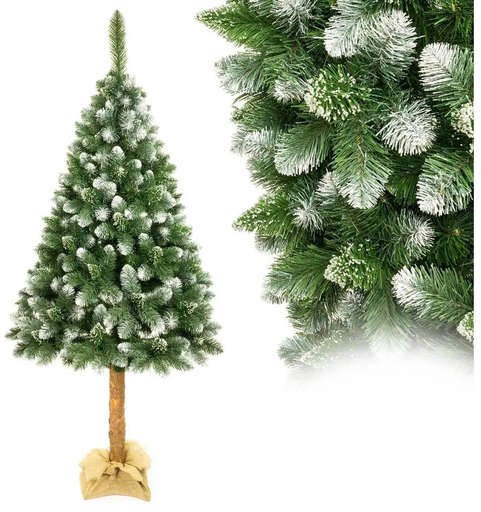 Albero di Natale su tronco di pino 180 cm