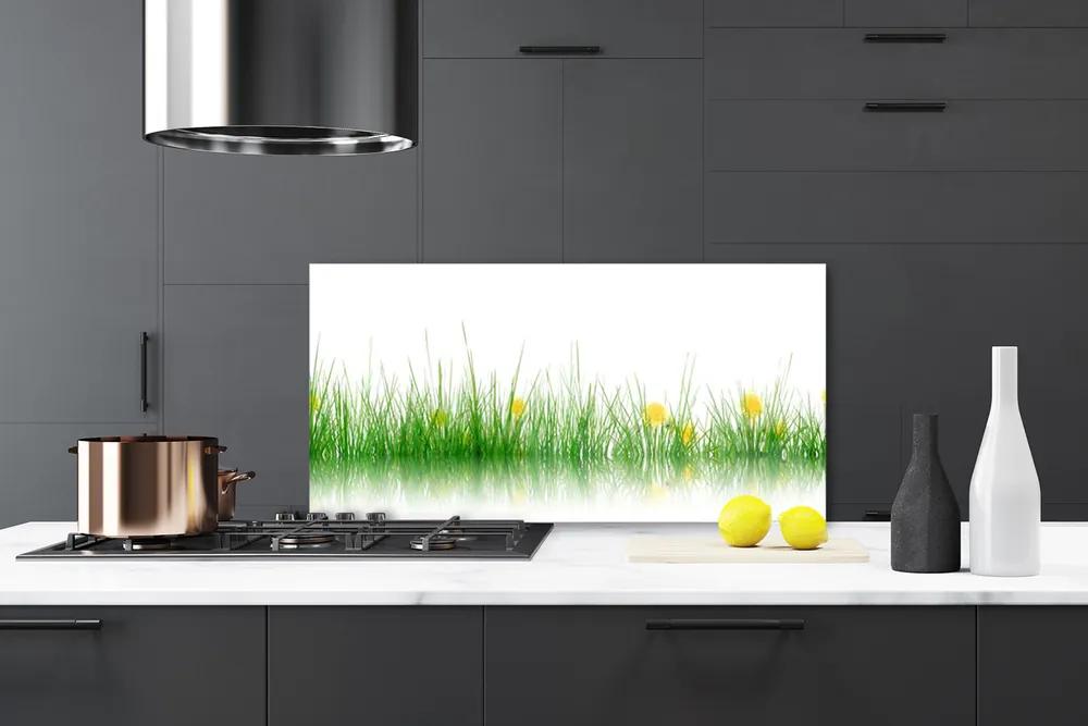 Pannello paraschizzi cucina Fiori di erba della natura 100x50 cm