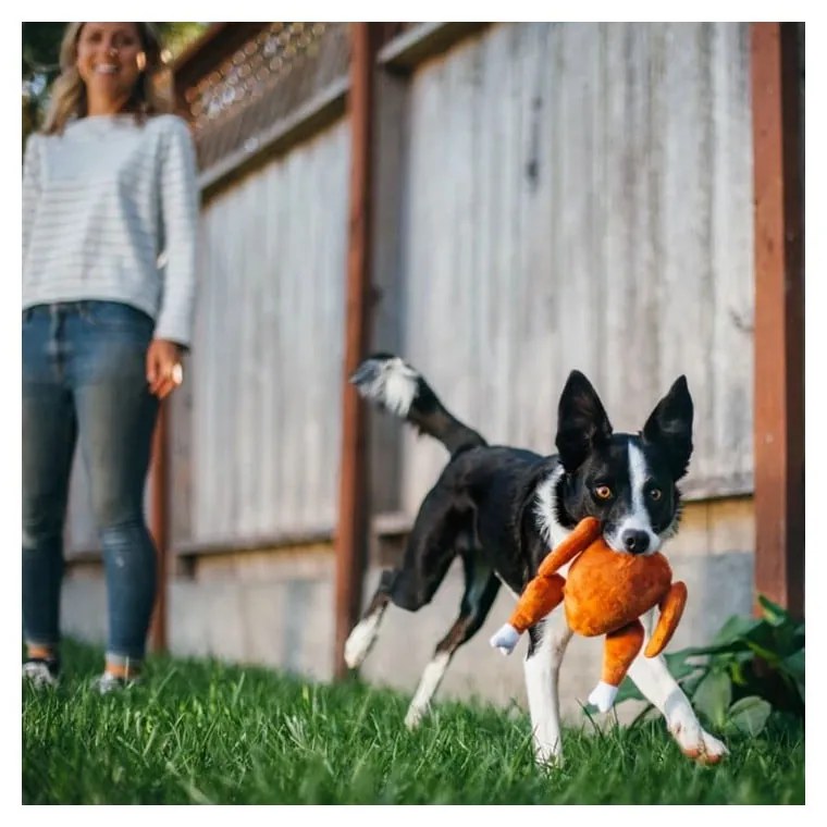 Giocattolo per cane Tacchino - P.L.A.Y.