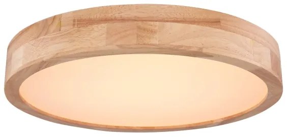 Globo 41745-24 - Plafoniera LED Dimming RAINER LED/24W/230V + TC