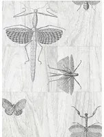 Arte International Carta da parati Wings - 42001