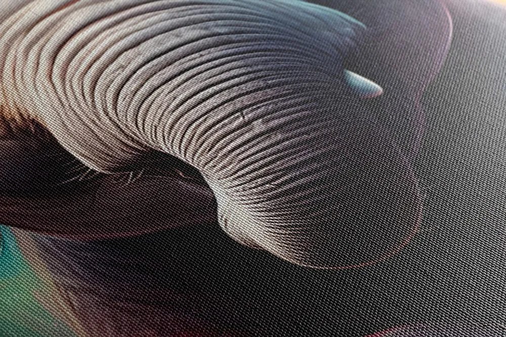 Stampa su tela – Elefante con cuffie