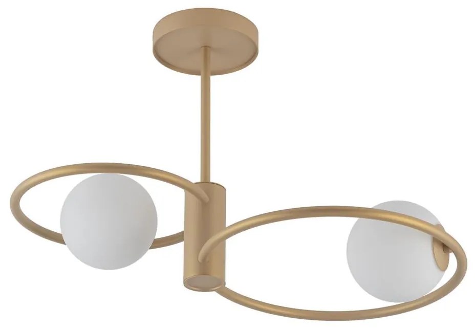 Lampadario a sospensione con supporto rigido AQUA 2xG9/12W/230V oro