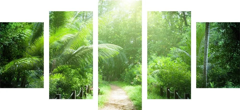 Quadri 5 pezzi – Sentiero sull'isola delle Seychelles