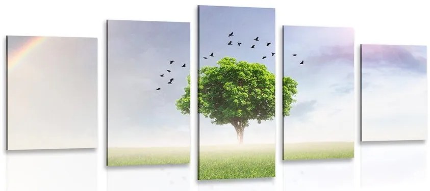 Quadri 5 pezzi – Albero solitario nel prato