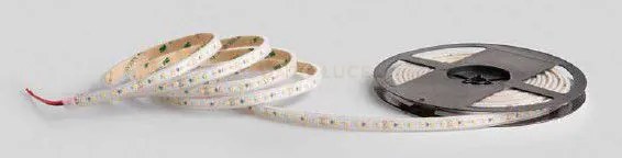 Strip led smd 24v 5w per mt 520lm per mt 3000k cri>90 500cm
