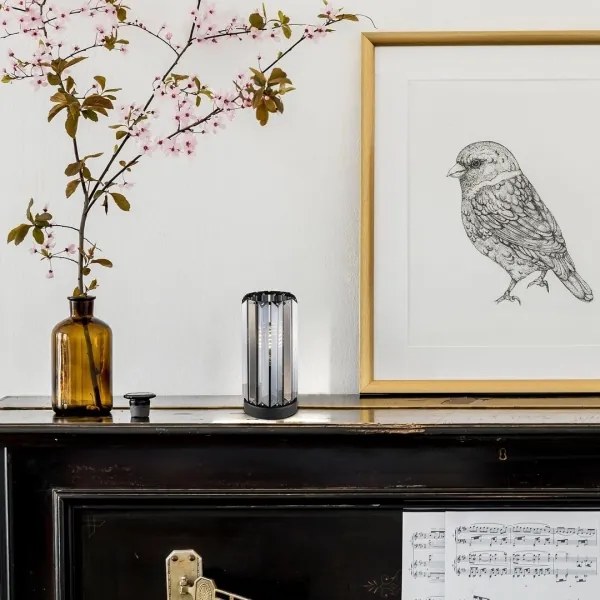 Rabalux 74206 - Lampada da tavolo VENESS 1xE27/40W/230V