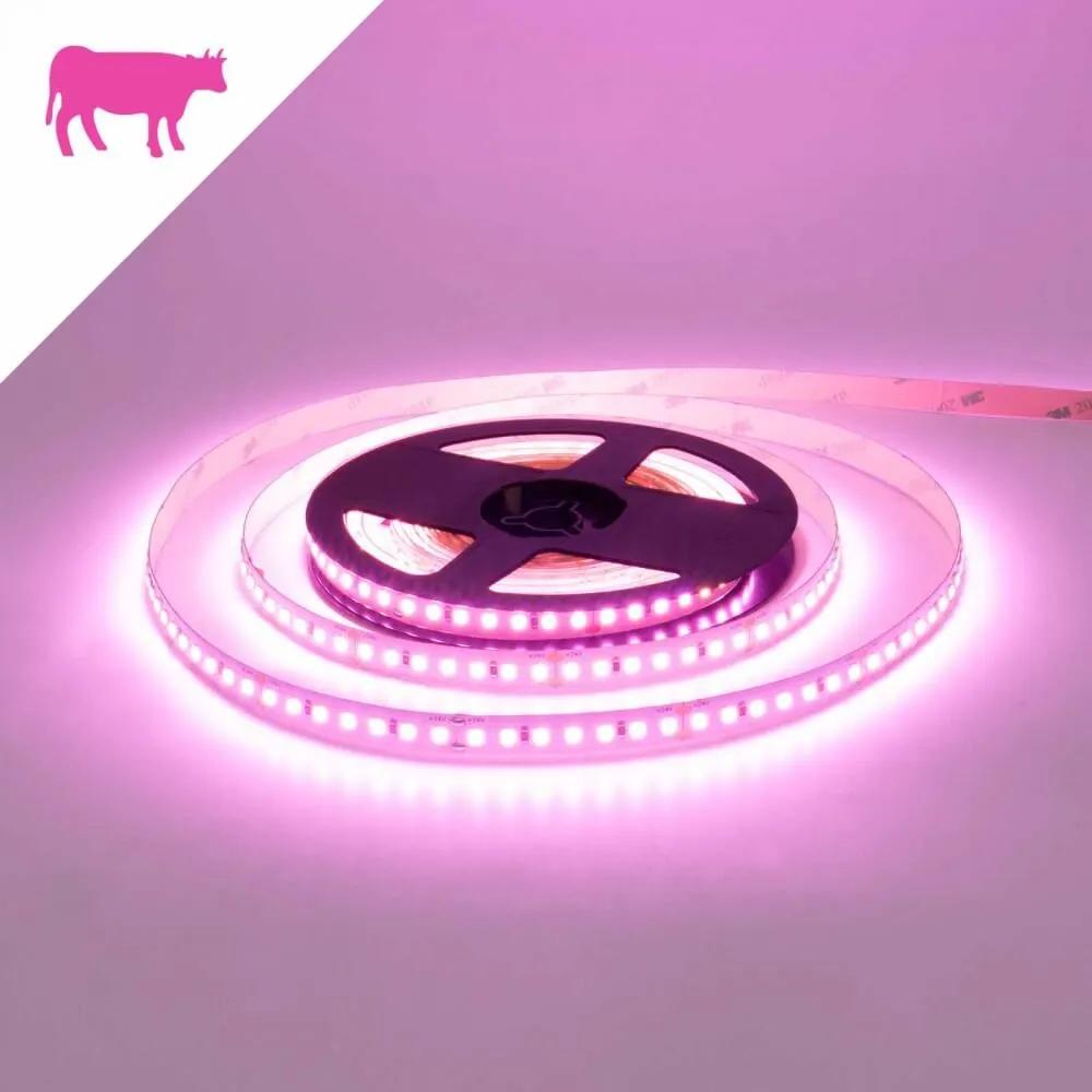 Striscia LED Professional per Banco Carni Tipo di Carne Per Carni di Manzo