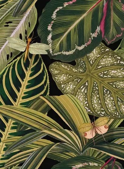 Mindthegap Carta da parati Amazonia - WP20159
